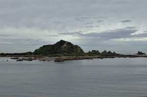 OWHIRO-BAY (12)